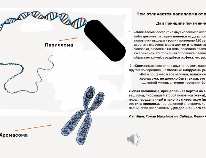Чем отличается папиллома от хромасома!